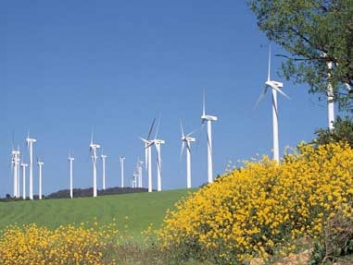 Electrica va produce energie verde incepand cu 2012