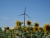 VERBUND pune in functiune un parc eolian in Romania